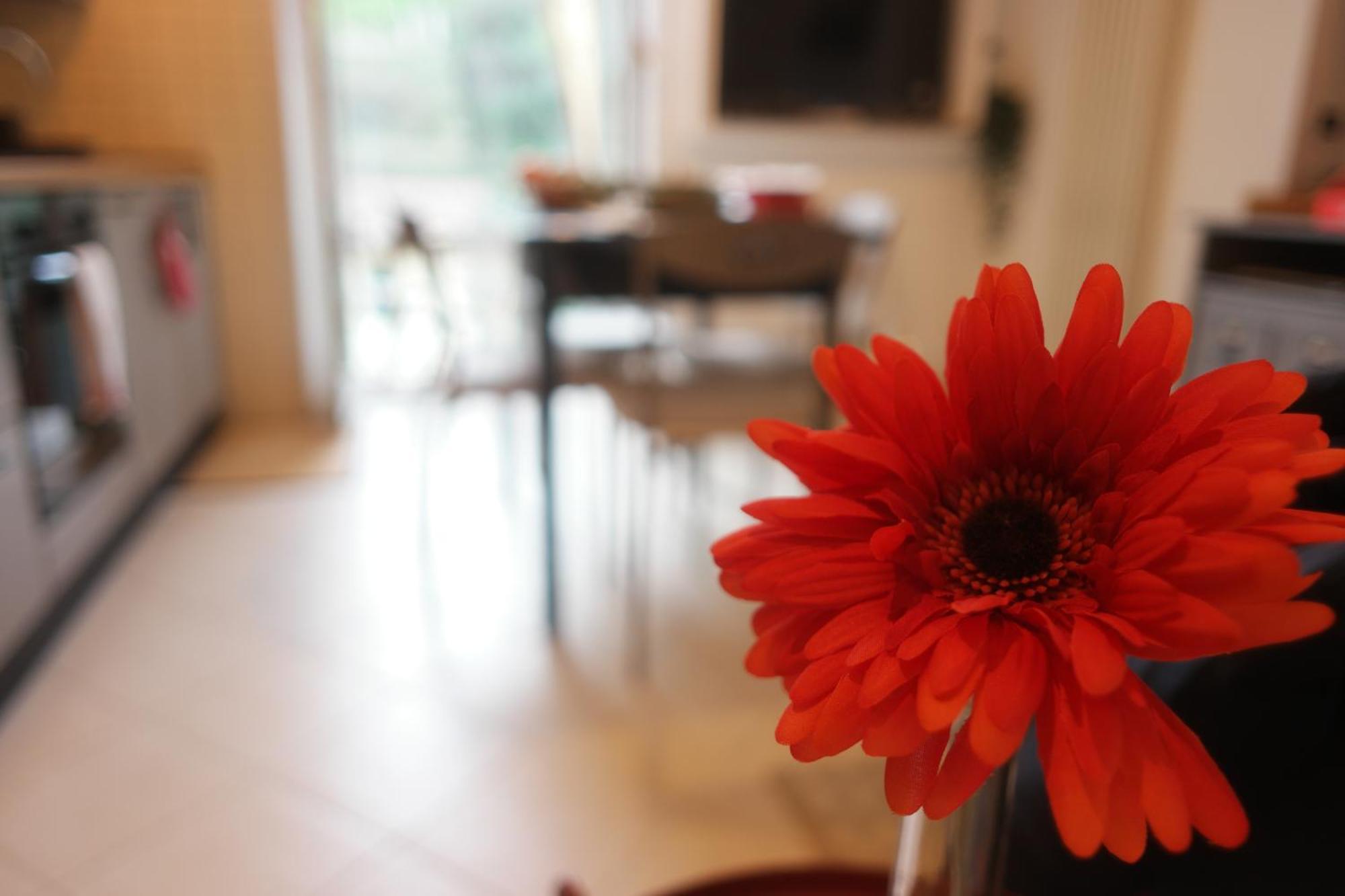 Il Nido Di Mariro Apartment ลาสเปเซีย ภายนอก รูปภาพ